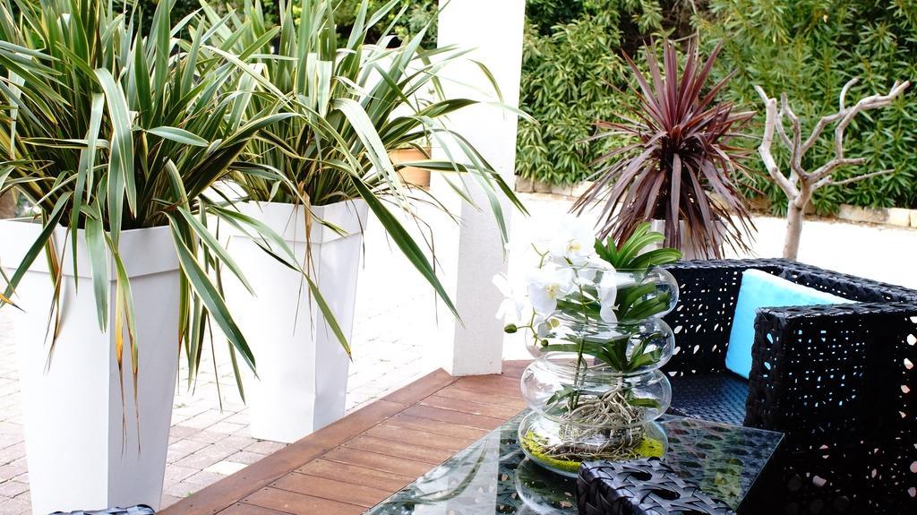 La Villa Blanche Sanary-sur-Mer Room photo